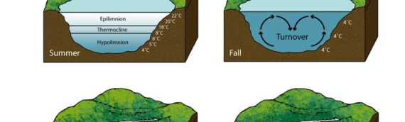 Osceola Water Taste & Seasonal Water Changes