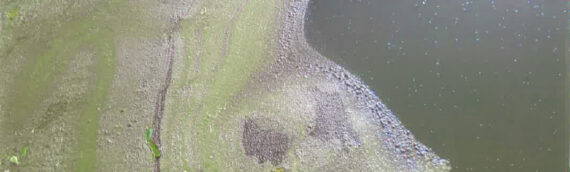 Challenges of Treating Surface Water