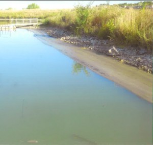 West Lake, algae bloom, surface water, water treatment, Osceola Iowa water works