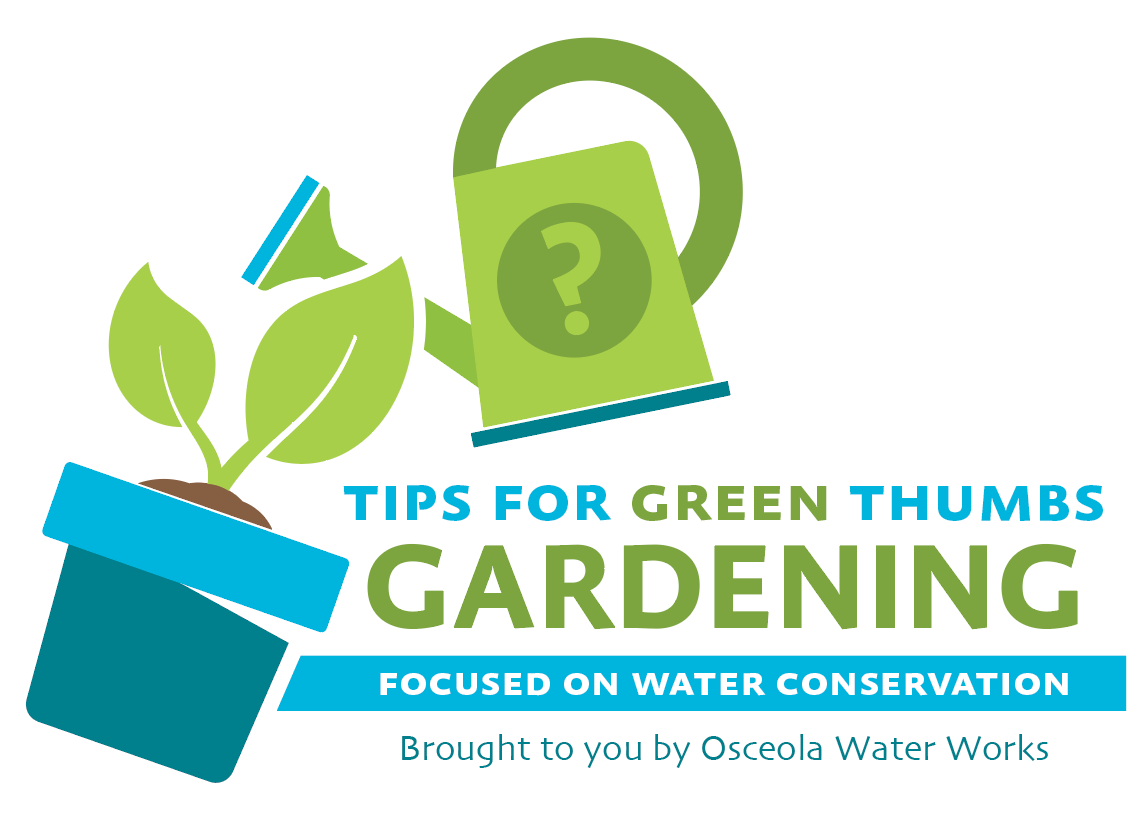 water conservation while gardening
